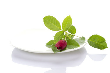 Similar image 734892