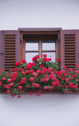 Similar image 734948