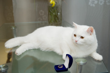 Similar image 734949