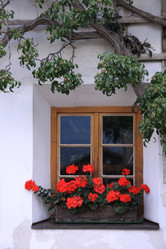 Similar image 734950