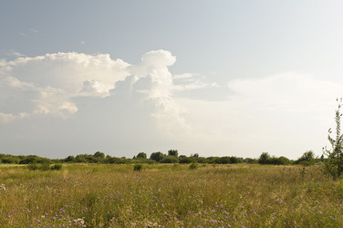 Similar image 734955