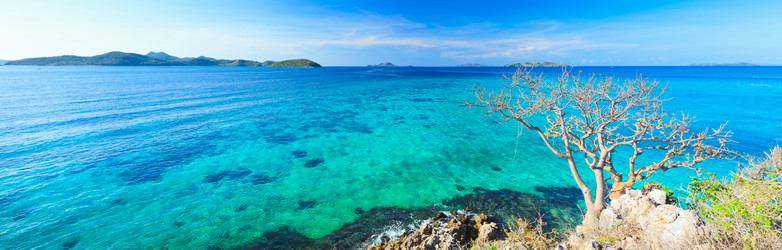 Similar image 734960