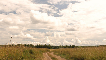 Similar image 734973