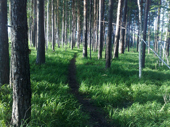 Similar image 734978