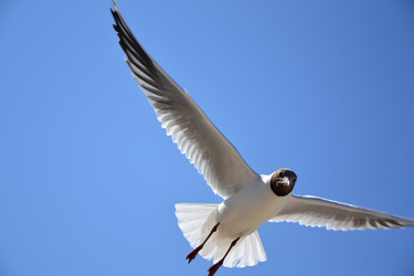 Similar image 734987