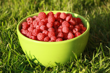 Similar image 734992