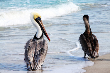 Similar image 734993