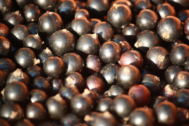 Similar image 734995