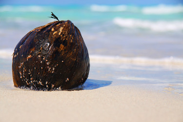 Similar image 735011