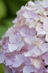 Similar image 735185