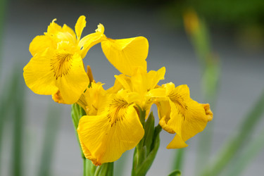 Similar image 735186