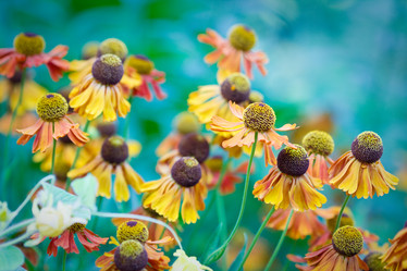 Similar image 735189