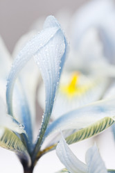 Similar image 735191