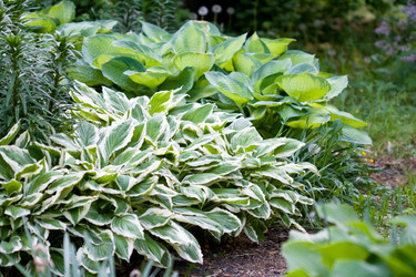 Similar image 735193