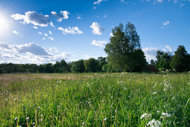 Similar image 735198