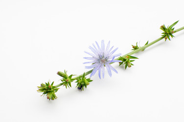 Similar image 735242