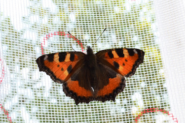 Similar image 735368