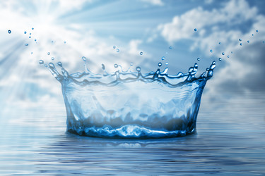 Similar image 735369