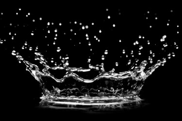 Similar image 735371