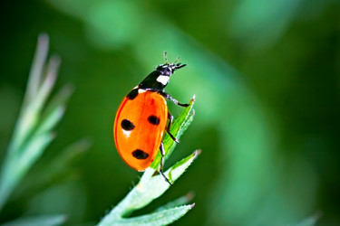 Similar image 735379