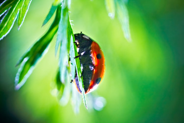 Similar image 735390