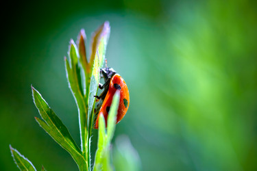 Similar image 735393