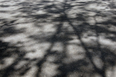 Similar image 735406