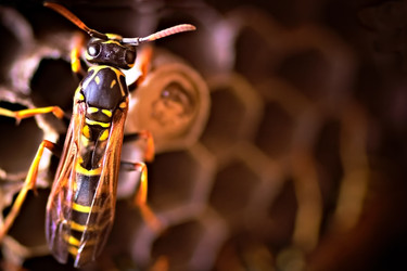 Similar image 735425