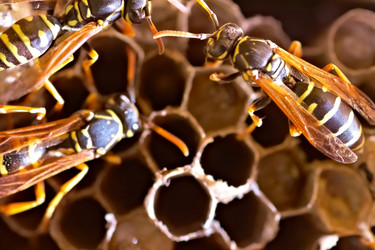 Similar image 735426