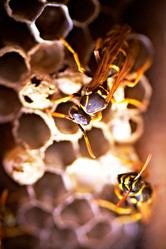 Similar image 735427