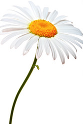 Similar image 735466