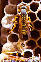 Similar image 735475