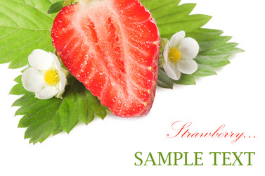 Similar image 735486