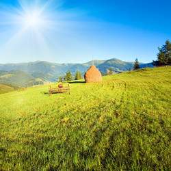 Similar image 735660