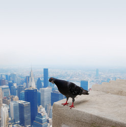 Similar image 735672