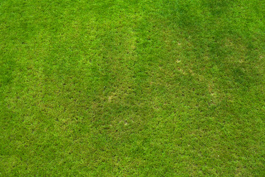 Similar image 735691