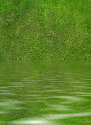 Similar image 735703