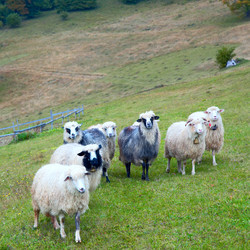 Similar image 735785