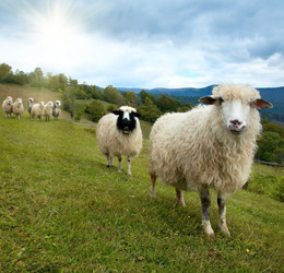 Similar image 735787