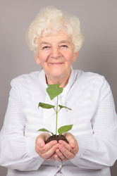 Similar image 735794