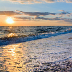 Similar image 735799