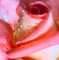 Similar image 735803