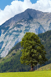 Similar image 735812