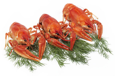 Similar image 735821