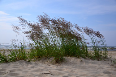 Similar image 735823