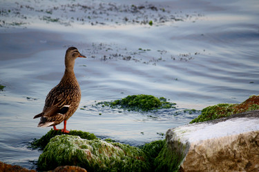 Similar image 735825