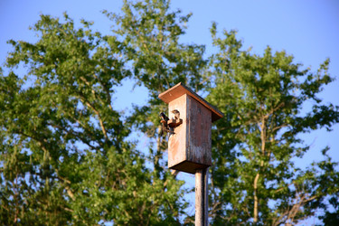 Similar image 735832