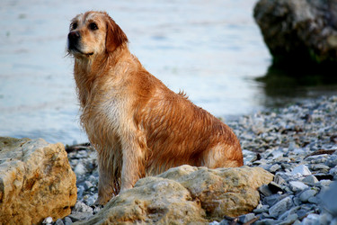 Similar image 735851