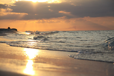 Similar image 735868