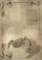 Similar image 735872